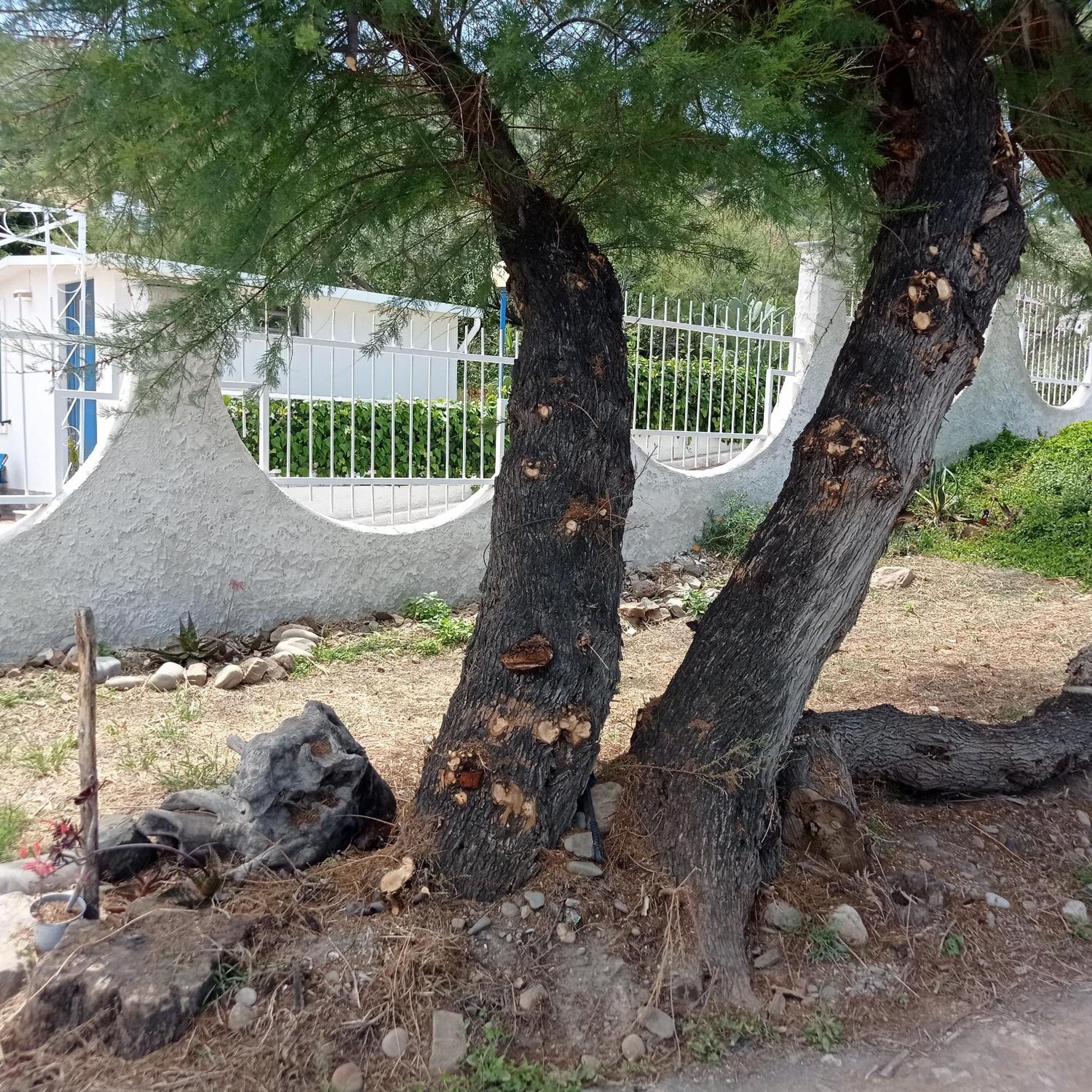 Framavi Holiday home Cefalu